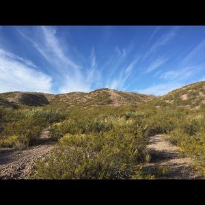 Meet your Posher, Zach